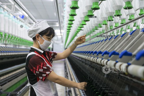 江西瑞昌 數(shù)字工廠助力產銷兩旺，針織品及原料批發(fā)蓬勃發(fā)展